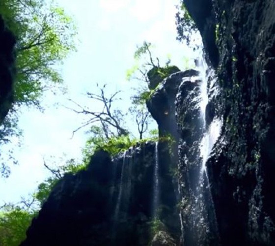 青山綠水，白龍江畔江畔息白鷺，兩岸綠橄欖入眼的都是純樸自然枝上花開(kāi)，春來(lái)水暖魚(yú)蝦戲水，鳥(niǎo)語(yǔ)花香心中充滿(mǎn)著舒暢之感祥宇生態(tài)產(chǎn)業(yè)園，位于隴南市武..